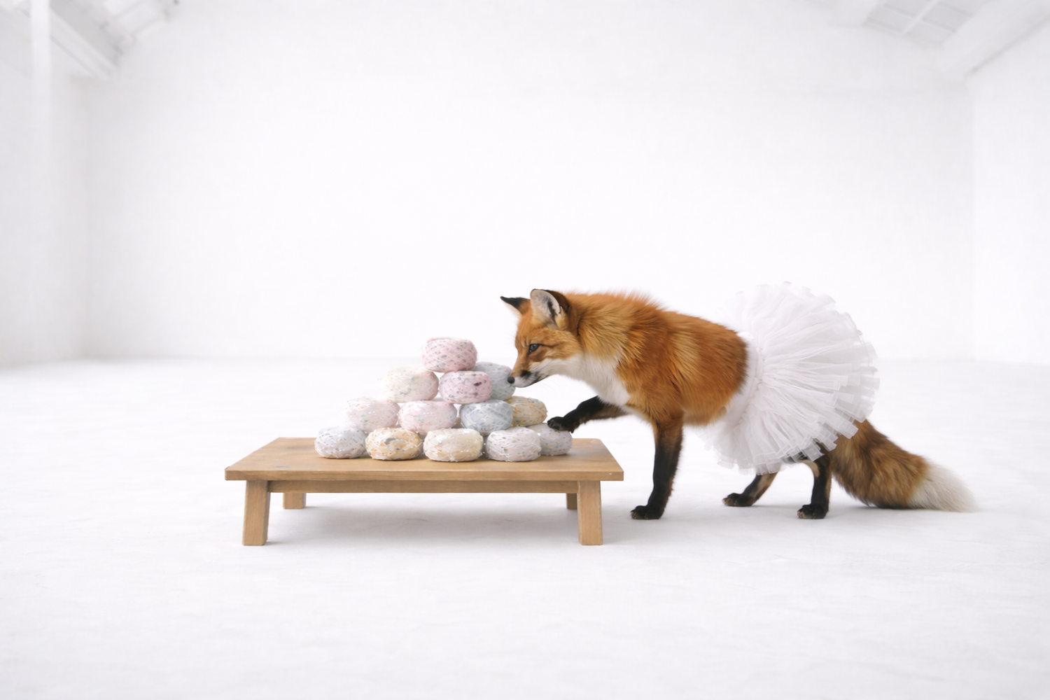 Fox in a tutu standing next to a small table with a pile of colorful balls on a white background